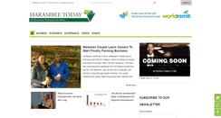 Desktop Screenshot of harambeetoday.org